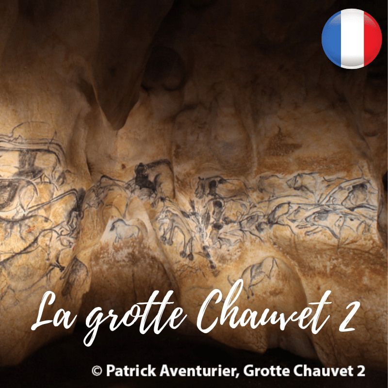 L Essentiel Sur La Grotte Chauvet En Minutes