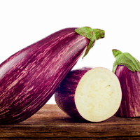 Aubergine-Listada-de-Gandia