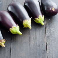 Aubergine-black-beauty