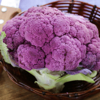 Chou brocoli violet