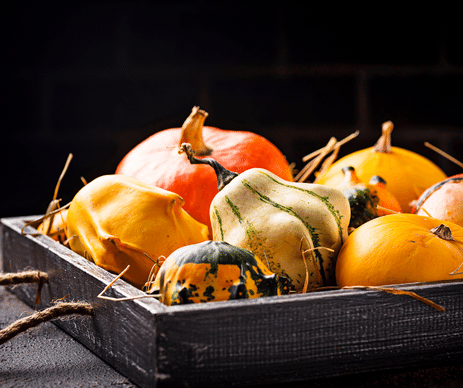 Citrouille et courges d'hiver