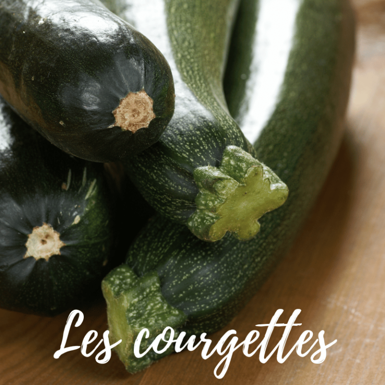 Les courgettes