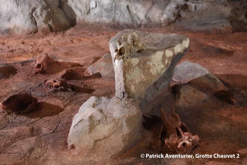 Cranes-d-ours-poses-par-l-homme©Patrick Aventurier - Grotte Chauvet 2