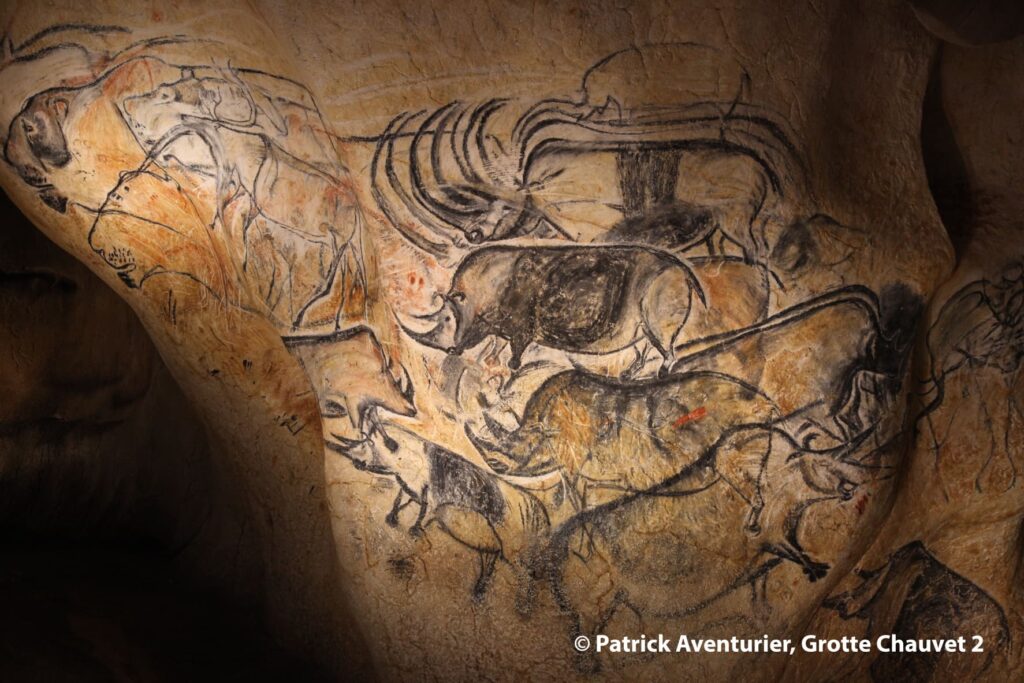 Les-rhinos-tres-presents-dans-la-grotte © Patrick Aventurier - Grotte Chauvet 2