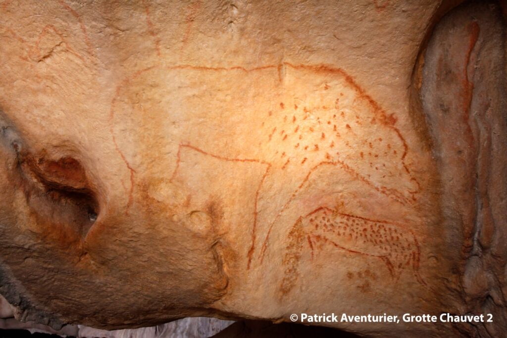 Ours-et-panthere-des-neiges©Patrick Aventurier - Grotte Chauvet 2