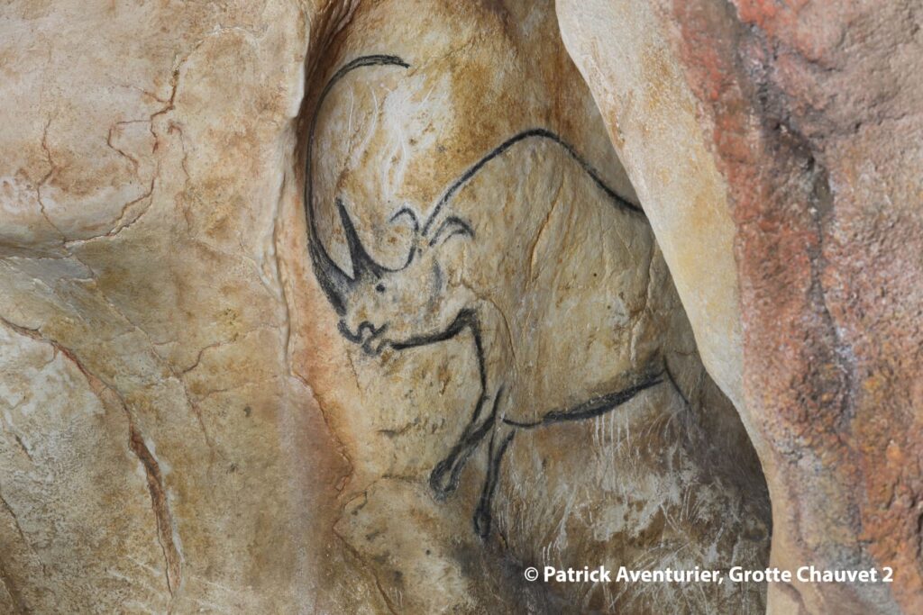 Rhino-sortant-de-la-paroi©Patrick-Aventurier - Grotte Chauvet 2