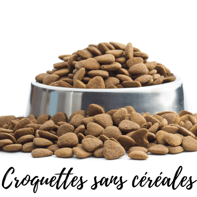 Croquettes françaises sans céréales