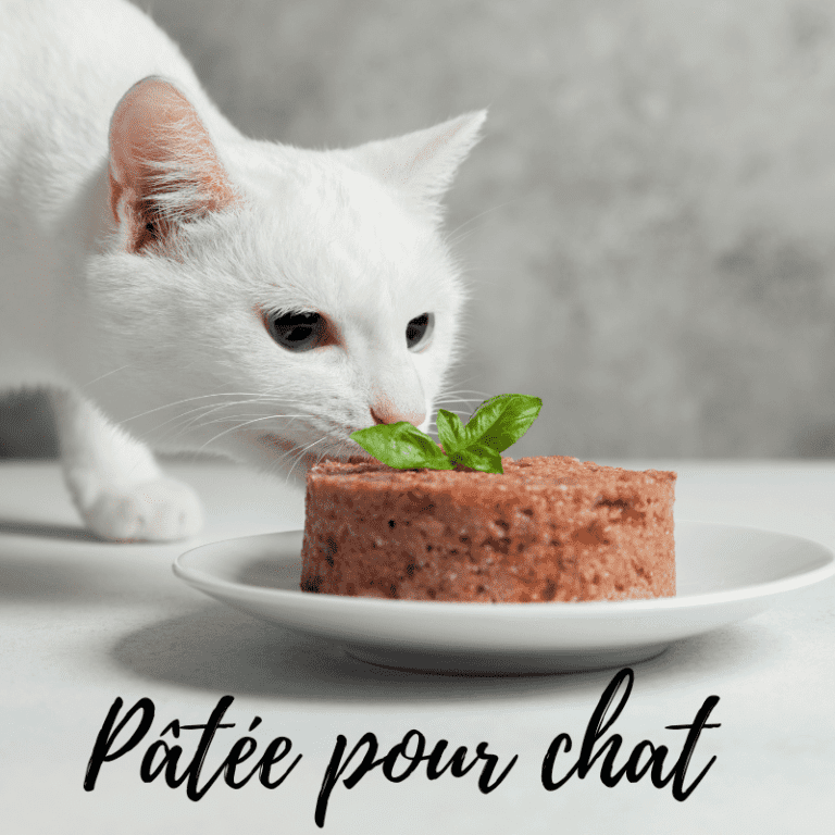 Pâtée pour chat Made in France