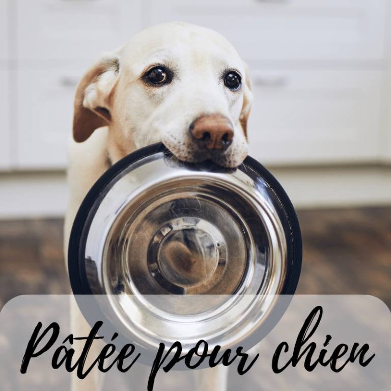 Pâtée pour chien Made in France (2)