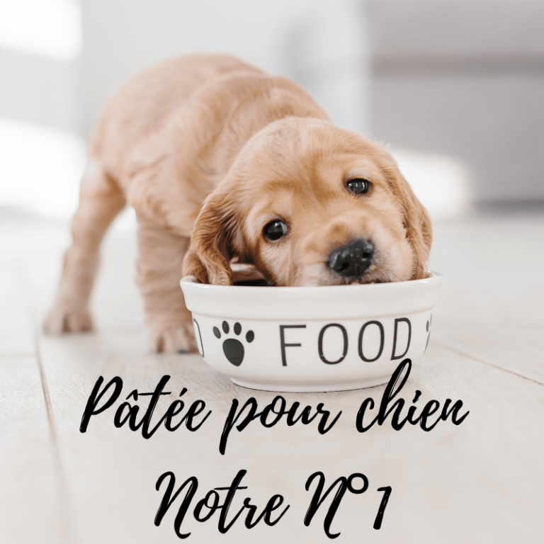 Pâtée pour chien Notre N°1